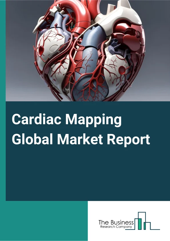 Cardiac Mapping Global Market Report 2025 – By Type (Contact Cardiac Mapping Systems, Non-Contact Cardiac Mapping Systems), By Indications (Atrial Fibrillation, Atrial Flutter, Atrioventricular Nodal Reentrant Tachycardi...