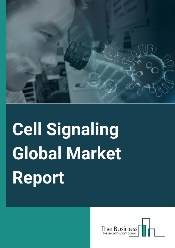 Cell Signaling Global Market Report 2025 – By Product (Consumables, Instruments), By Signaling Type (Endocrine Signaling, Paracrine Signaling, Autocrine Signaling, Synaptic Signaling Source, Other Signaling Types), By Pa...