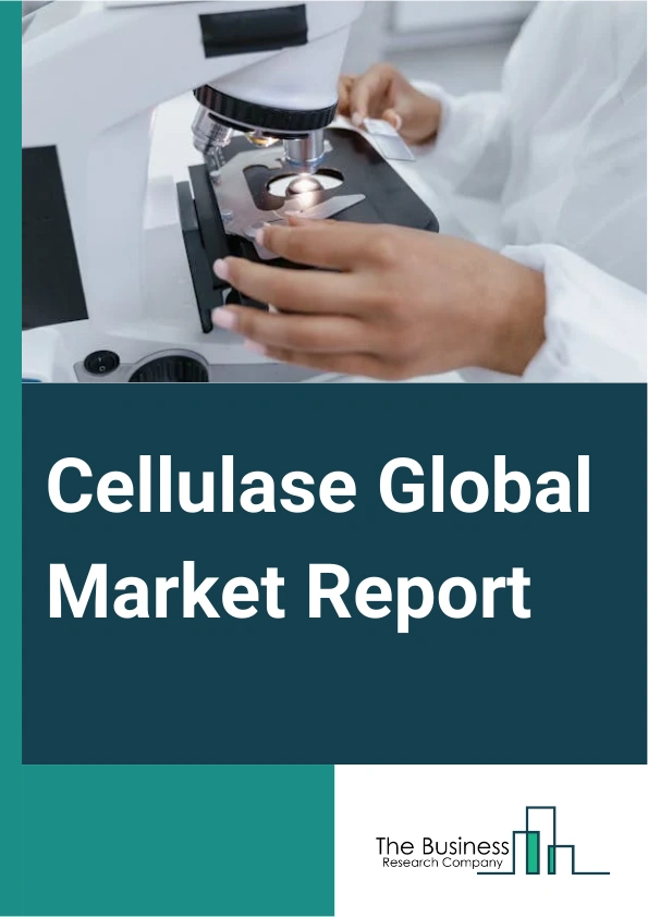 Cellulase Global Market Report 2025 – By Type (Endoglucanase (EG), Cellobiohydrolase (CBH), Beta-Glucosidase (BG)), By Source (Fungi, Bacteria, Actinomycetes, Plants, Animals), By End Use (Healthcare, Industrial, Food An...