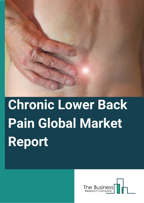 Chronic Lower Back Pain Global Market Report 2024 – By Type of Pain (Diskogenic Pain, Lumbar Spinal Stenosis, Sacroiliac Pain, Facet-Joint Pain, Radicular Pain, Muscular Pain, Other Types Of Pain), By Diagnosis (Clinical History, Physical Examination, Imaging Guidelines, Assessment of Pain), By End-User (Hospitals, Orthopedic Clinics, Ambulatory Surgery Centers, Other End-Users) – Market Size, Trends, And Global Forecast 2024-2033
