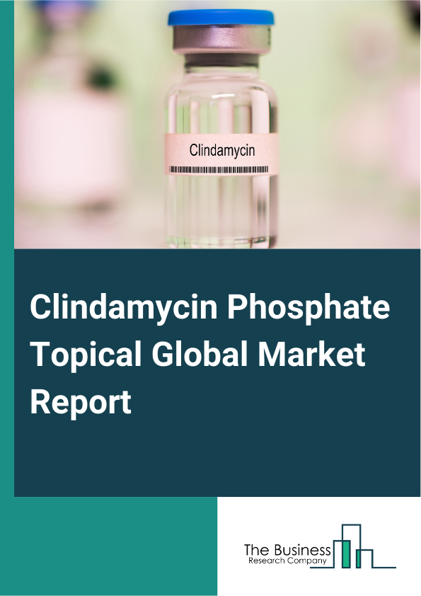 Clindamycin Phosphate Topical Global Market Report 2025 – By Formulation Type (Gel, Lotion, Solution, Foam, Cream ), By Packaging Type (Tube, Bottle, Pump, Canister ), By Application (Men, Women ), By End User (Hospitals, Dermatology Clinics, Home Care Settings, Other End-Users) – Impact of Tariff and Trade War on Market Size, Growth, Trends, and Forecast 2025–2034
