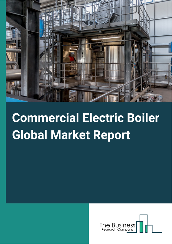 Commercial Electric Boiler Market Size and growth rate 2025 to 2029: Graph