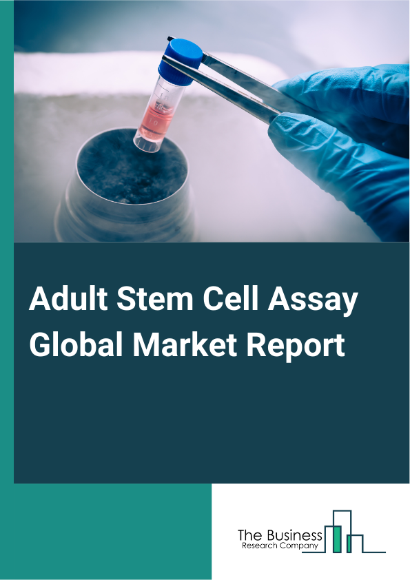 Adult Stem Cell Assay Global Market Report 2024 – By Type (Viability Or Cytotoxicity, Isolation And Purification, Cell Identification, Proliferation, Differentiation, Function, Apoptosis), By Application (Regenerative Medicine And Therapy Development, Drug Discovery And Development, Clinical Research), By End-User (Government Research Institutes, Private Research Institutes, Industry Research) – Market Size, Trends, And Global Forecast 2024-2033