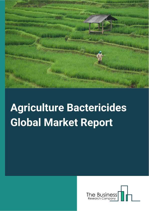 Agriculture Bactericides Global Market Report 2025 - By Type (Copper-Based Bactericides, Amide Bactericides, Dithiocarbamate Bactericides, Other Types), By Form (Dry, Liquid), By Crop Type (Fruits And Vegetables, Cereals And Grains, Oilseeds And Pulses, Other Crops) - Market Size, Trends, And Global Forecast 2025-2034