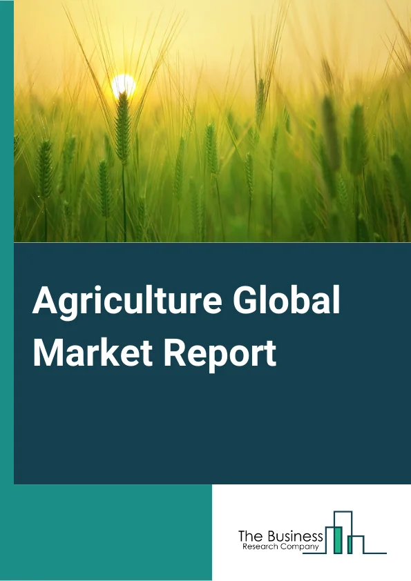 Agriculture Global Market Report 2025 – By Type (Animal Produce, Crop Production, Rural Activities), By Nature (Organic, Conventional), By Distribution Channel (Supermarkets Or Hypermarkets, Convenience Stores, E-Commerce, Other Distribution Channels) – Market Size, Trends, And Global Forecast 2025-2034