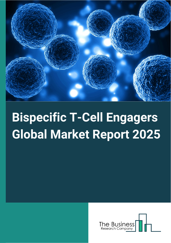 Bispecific T-Cell Engagers Global Market Report 2025 - By Product Type (Monoclonal Antibodies, Bispecific Antibodies, Other Product Types), By Application (Hematologic Malignancies, Solid Tumors, Other Applications), By End-User (Hospitals, Specialty Clinics, Research Institutes, Other End-Users) - Market Size, Trends, And Global Forecast 2025-2034