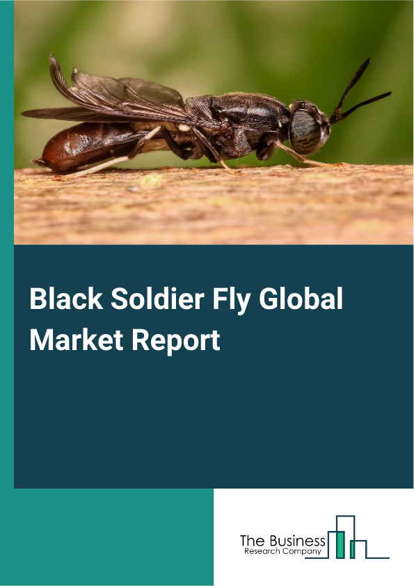 Black Soldier Fly Global Market Report 2025 – By Type (Live Black Soldier Flies, Black Soldier Fly Larvae, Black Soldier Fly Frass, Black Soldier Fly Oil), By Production Method (Industrial-Scale Farming, Small-Scale Farming, Vertical Farming), By Application (Animal Feed, Human Food, Oil Production, Waste Management), By End-User (Feed Manufacturers, Pet Food Companies, Food Beverage Industry, Cosmetics Industry) – Market Size, Trends, And Global Forecast 2025-2034