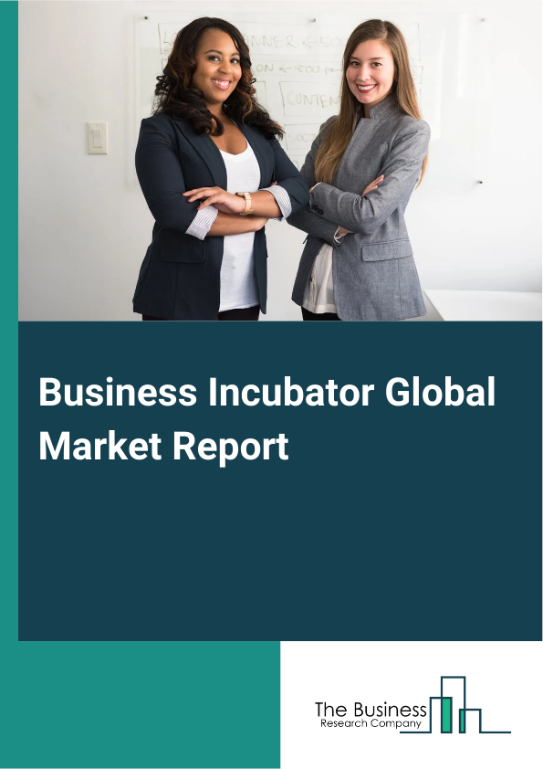 Business Incubator Global Market Report 2025  - By Type (Comprehensive Incubator, Professional Incubator, Object-Specific Incubator), By Service Offering (Coworking Spaces, Mentorship And Coaching, Access To Funding, Educational Programs, Networking Opportunities, Access To Resources, Demo Days, Pitch Events), By Technology Focus (Tech Incubators, Non-Tech Incubators), By Stage (Pre-Seed, Seed, Growth, Expansion), By Application (Enterprise Resource Provision, Startup Services) - Market Size, Trends, And Global Forecast 2025-2034