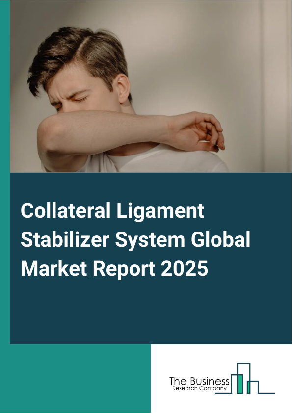 Collateral Ligament Stabilizer System Global Market Report 2025 - By Product Type (Knee Braces And Supports, Foot And Ankle Braces And Supports, Wrist Braces And Supports, Other Products), By Ligament Type (Medial Collateral Ligament (MCL), Lateral Collateral Ligament (LCL)), By Injury Type (Grade I, Grade II, Grade III), By Treatment (Surgical Treatment, Non-Surgical Treatment), By End-User (Hospitals, Orthopedic Clinics, Other End-Users) - Market Size, Trends, And Global Forecast 2025-2034