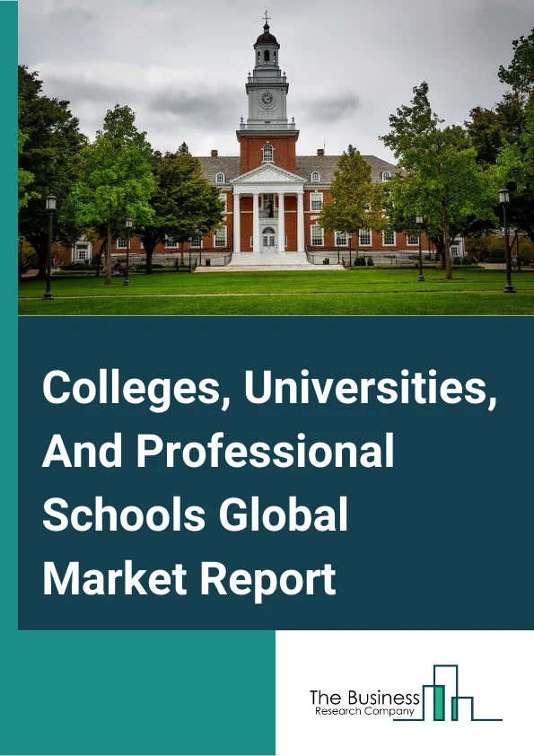 Colleges, Universities, And Professional Schools Global Market Report 2025 – By Type (Technical And Trade Schools, Junior Colleges, Higher Education Colleges And Universities, Business And Secretarial Schools, Computer Training, Professional And Management Development Training), By Type of Expenditure (Public, Private), By Mode (Online, Offline) – Market Size, Trends, And Global Forecast 2025-2034