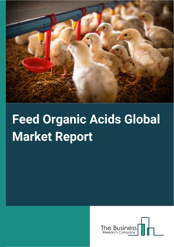 Feed Organic Acids Global Market Report 2025 - By Type (Hair Acetic Acid, Formic Acid, Fumaric Acid, Lactic Acid, Citric Acid, Propionic Acid, Gluconic Acid, Other Types), By Application (Food And Beverages, Pharmaceuticals, Personal Care Products, Animal Feed ), By End-User (Feed Manufacturers, Livestock Farmers, Aquaculture Farms, Veterinary Clinics, Research Institutions) - Market Size, Trends, And Global Forecast 2025-2034