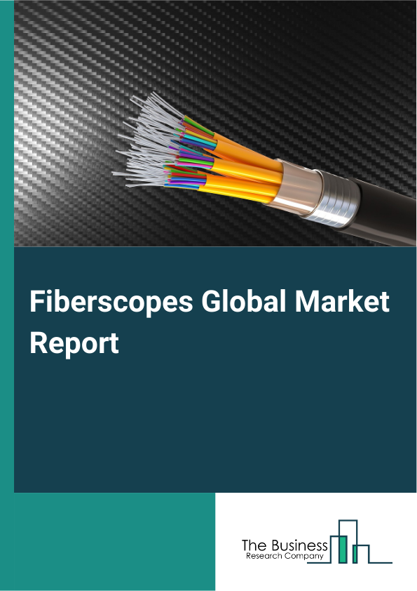 Fiberscopes Global Market Report 2025 - By Product Type (Disposable Fiberscopes, Flexible Fiberscopes, Rigid Fiberscopes, Video Fiberscopes), By Application (Industrial Inspection, Medical Diagnostics, Research And Development), By End User (Aerospace Maintenance Facilities, Automotive Facilities, Clinics, Diagnostic Laboratories, Hospitals) - Market Size, Trends, And Global Forecast 2025-2034