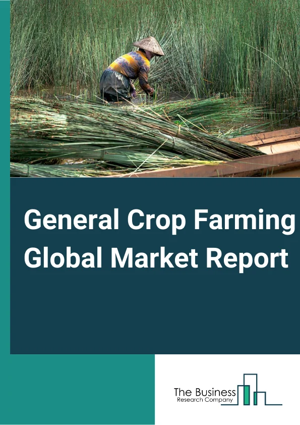 General Crop Farming Global Market Report 2025 – By Type (Tobacco Farming, Sugarbeet Farming, Sugarcane Farming, Cotton Farming, Other Miscellaneous Crop Farming), By Application (Food And Beverages, Fodder), By Farming Process (Organic General Crop Farming, Traditional Farming) – Market Size, Trends, And Global Forecast 2025-2034