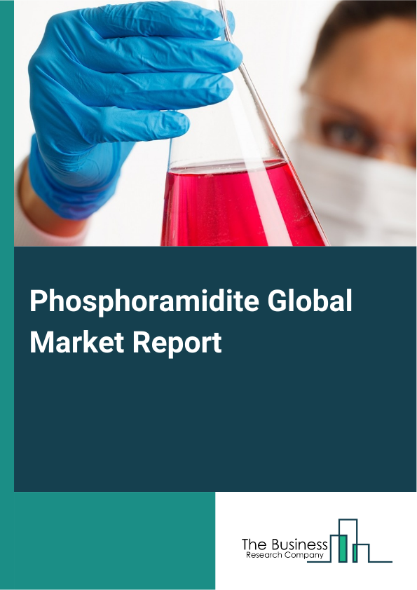 Phosphoramidite Global Market Report 2025 - By Type (Deoxyribonucleic Acid (DNA) Phosphoramidites, Ribonucleic Acid (RNA) Phosphoramidites, Labeled Phosphoramidites, Modifier Phosphoramidites, Other Types), By Synthesis Method (H-Phosphonate Method, Phosphoramidite Method, Trivalent Phosphorus Compounds Method), By Application (Gene Synthesis, Deoxyribonucleic Acid (DNA) Sequencing, Deoxyribonucleic Acid (DNA) Amplification), By End-User (Academic Research, Pharmaceutical Industry, Biotechnology Industry) - Market Size, Trends, And Global Forecast 2025-2034