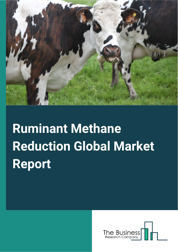 Ruminant Methane Reduction Global Market Report 2025 – By Product Type (Feed Additives Or Supplements, Dietary Supplements, Methane Inhibitors, Other Product Types), By Animal Type (Cattle, Sheep, Goats), By Distribution Channel (Direct Sales, Veterinary Clinics, Agricultural Cooperatives, Online Retailers, Specialty Stores) – Market Size, Trends, And Global Forecast 2025-2034