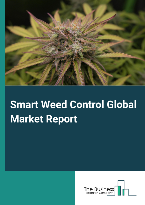 Smart Weed Control Global Market Report 2025 – By Type (Weed Mapping, Weed Sensing And Management), By Technique (Herbicidal, Tillage), By Application  (Agriculture, Non-Agriculture) – Market Size, Trends, And Global Forecast 2025-2034