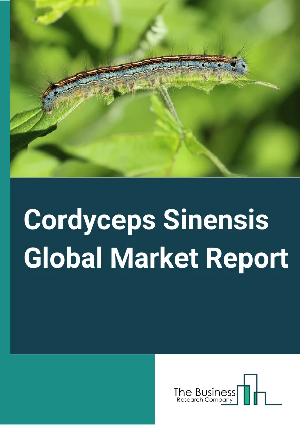 Cordyceps Sinensis Global Market Report 2025 – By Product (Dried, Wet), By Mode Of Cultivation (Natural, Artificial), By Application (Treatment, Healthcare) – Market Size, Trends, And Global Forecast 2025-2034