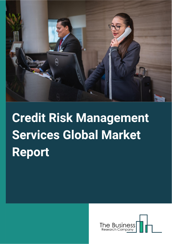 Credit Risk Management Services Market Size and growth rate 2025 to 2029: Graph