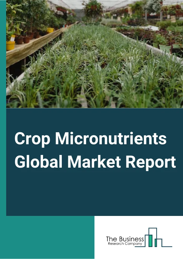 Crop Micronutrients Global Market Report 2025 – By Type (Zinc, Boron, Iron, Manganese, Molybdenum, Copper, Other Types), By Crop Type (Cereals & Grains, Fruits & Vegetables, Oilseeds & Pulses, Other Crops), By Application (Fertigation, Soil, Foliar, Other Applications) – Market Size, Trends, And Global Forecast 2025-2034