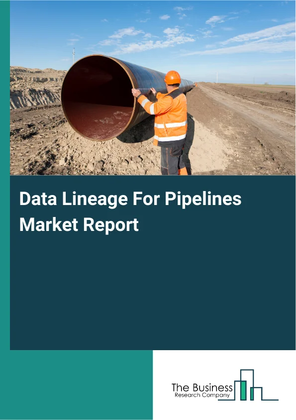 Data Lineage For Pipelines Market Report Infographic Image