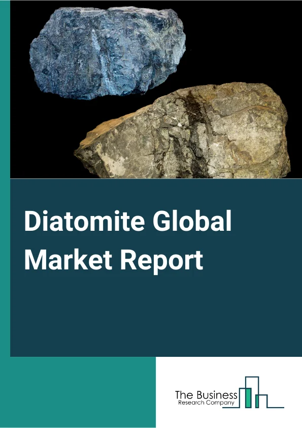 Diatomite Global Market Report 2024 – By Type (Pinnularia, Coscinodiscus, and Melosira), By Mining Type (Underground Mining, Surface Mining) – Market Size, Trends, And Global Forecast 2024-2033