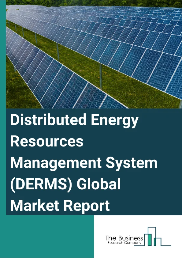 Distributed Energy Resources Management System (DERMS) Market Report Infographic Image