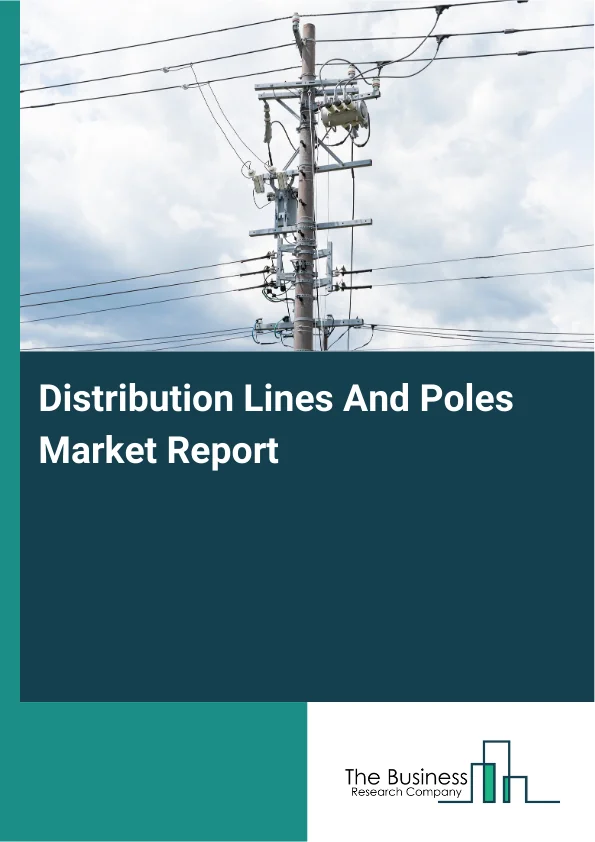 Distribution Lines And Poles Market Report Infographic Image