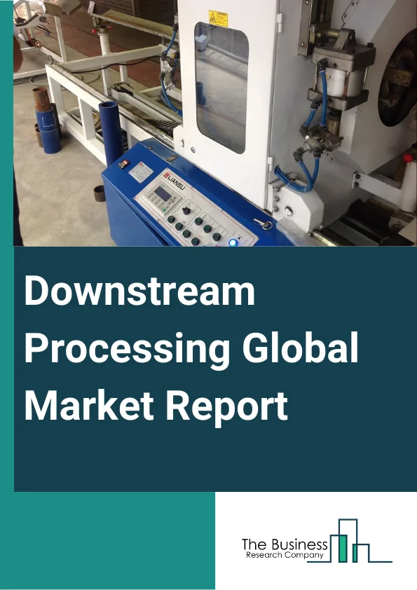 Downstream Processing Global Market Report 2025 – By Product (Centrifuges, Dryers, Chromatography Systems, Filters, Evaporators, Other Products), By Technique (Purification Techniques, Solid-Liquid Separation, Clarification Or Concentration), By Application (Monoclonal Antibody Production, Vaccine Production, Insulin Production, Immunoglobulin Production, Erythropoietin Production, Other Applications) – Market Size, Trends, And Global Forecast 2025-2034