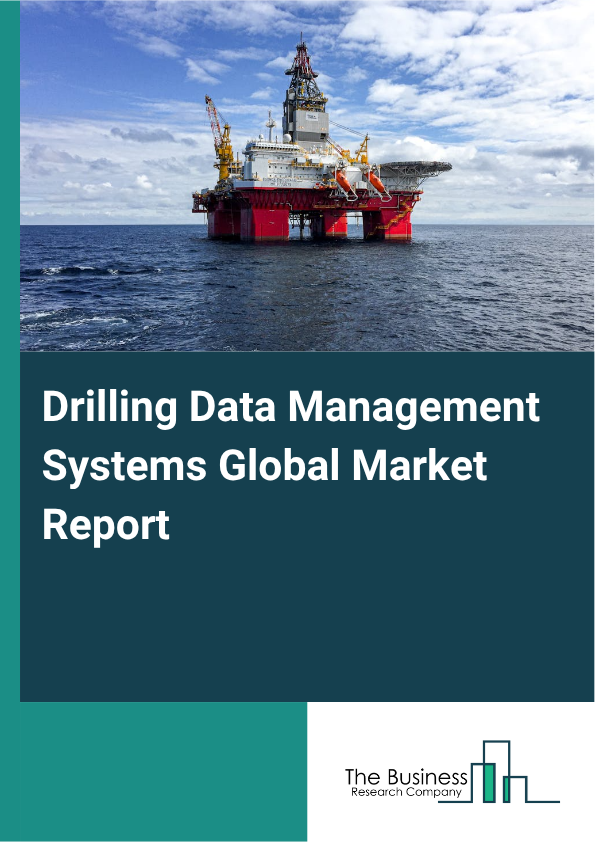 Drilling Data Management Systems Market Size and growth rate 2025 to 2029: Graph