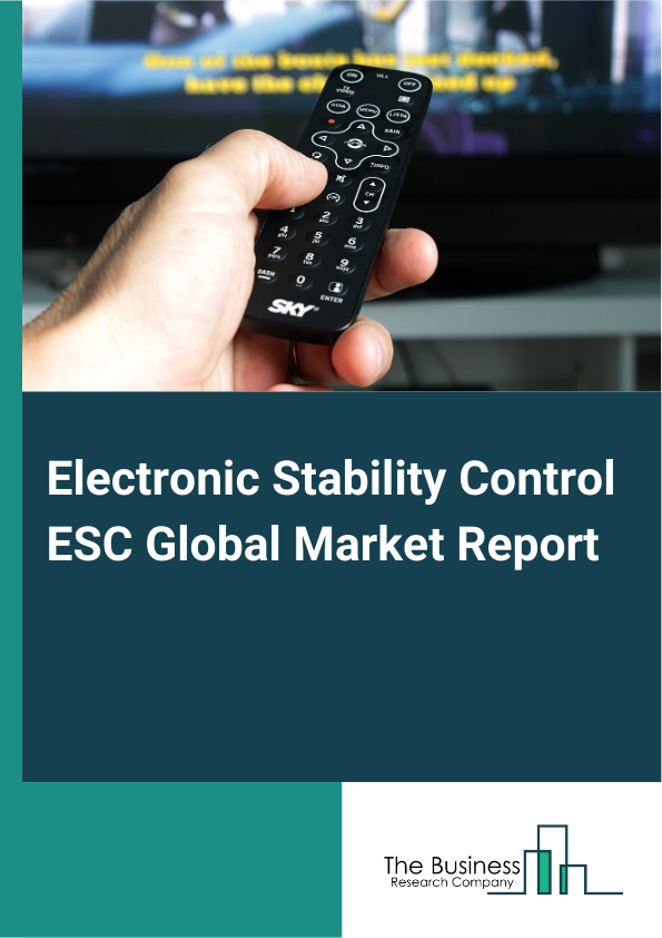 Electronic Stability Control ESC