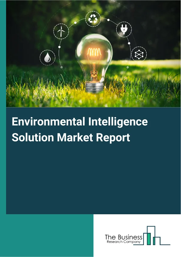 Environmental Intelligence Solution Market Report Infographic Image