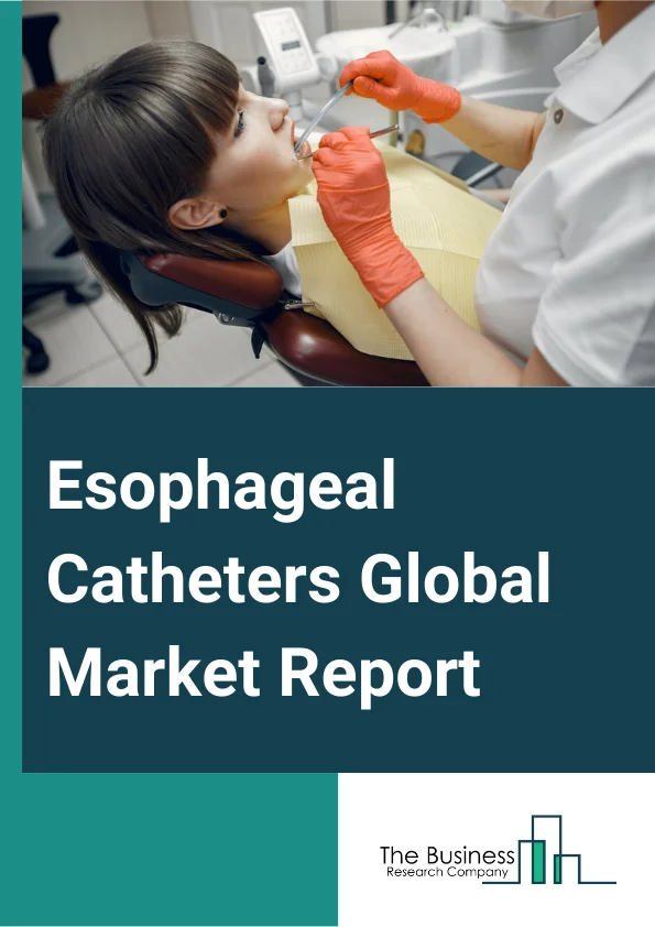 Global Esophageal Catheters Market Report 2025