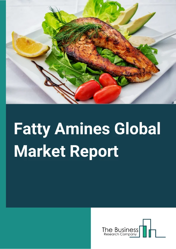 Fatty Amines Global Market Report 2025 – By Product (Primary Fatty Amines, Secondary Fatty Amines, Tertiary Fatty Amines), By Application (Agrochemicals Oilfield Chemicals, Asphalt Additives, Water Treatment, Chemical Synthesis, Personal Care, Household), By Function (Emulsifiers, Floatation Agents, Anti-Caking Agents, Dispersants, Corrosion Inhibitors, Chemical Intermediates) – Market Size, Trends, And Global Forecast 2025-2034