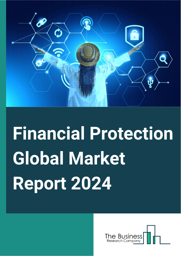 Global Financial Protection Market Report 2025