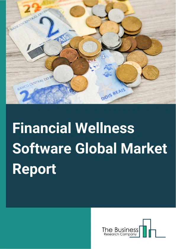 Financial Wellness Software