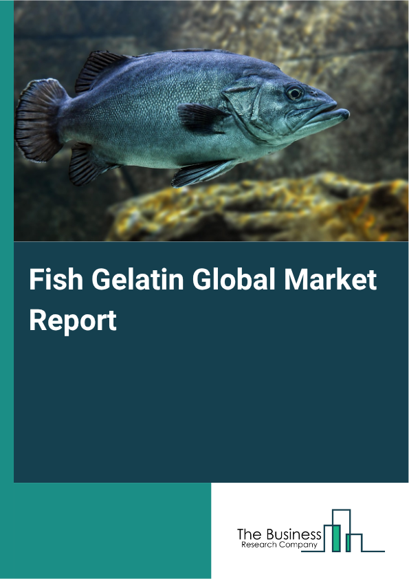Fish Gelatin Market Size and growth rate 2025 to 2029: Graph