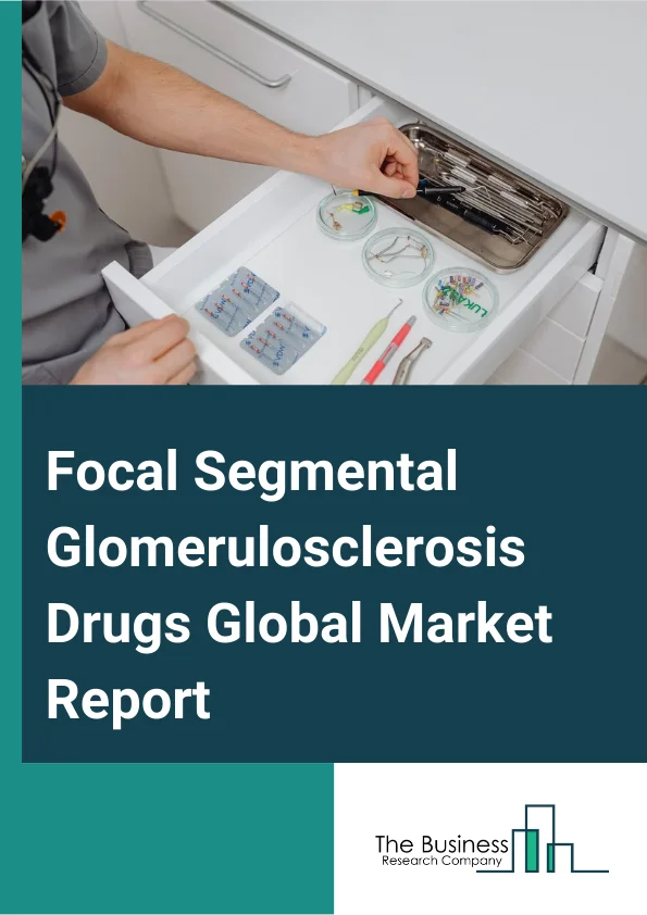 Focal Segmental Glomerulosclerosis Drugs Global Market Report 2025 – By Type (Losmapimod, SHP-627, Sparsentan, TM-5484, Other Types), By Treatment (Corticosteroids, Immunosuppressive Drugs, Angiotensin Converting Enzymes (ACE) Inhibitors, A.R. Blockers, Diuretics, Other Treatments), By Route of Administration (Oral, Parenteral), By End User (Hospitals, Homecare, Specialty Clinics, Other End Users) – Market Size, Trends, And Global Forecast 2025-2034