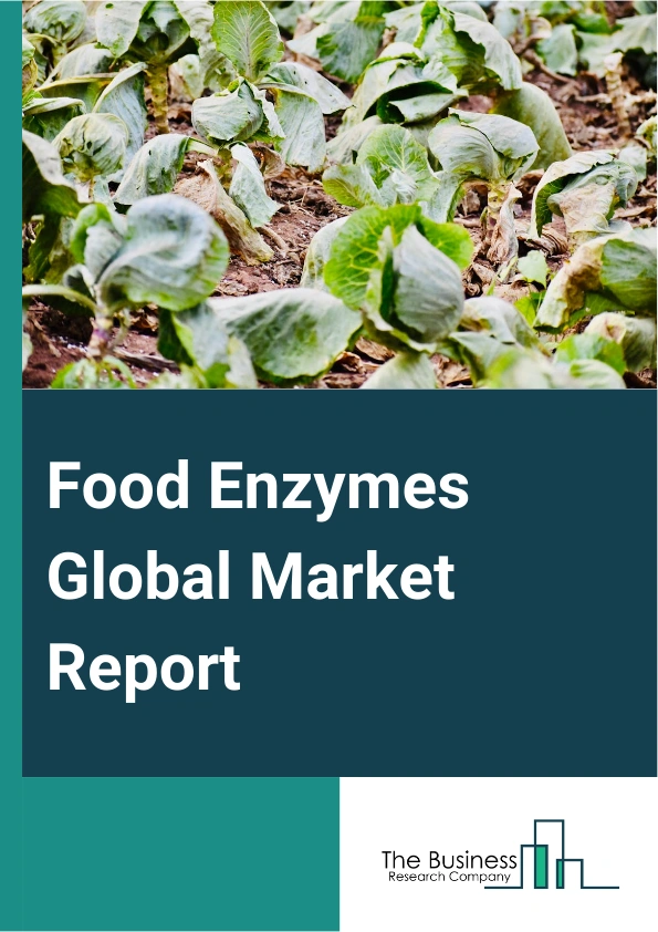 Food Enzymes