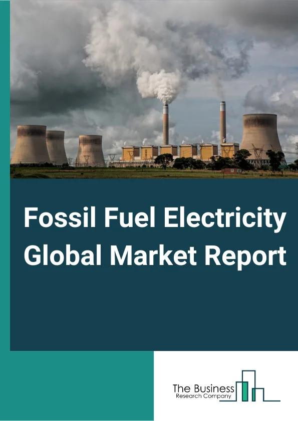 Fossil Fuel Electricity