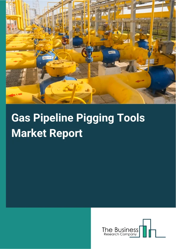 Gas Pipeline Pigging Tools Market Report Infographic Image