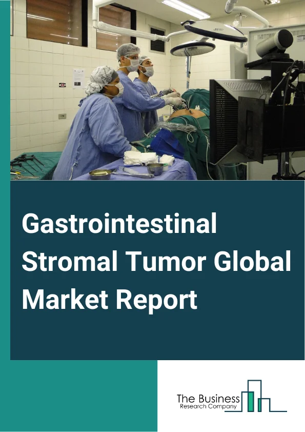 Gastrointestinal Stromal Tumor Global Market Report 2025 – By Treatment Type (Chemotherapy, Targeted Therapy, Other Treatment Types), By Indication (Stomach, Small Intestine, Others Indications), By End-User (Hospitals, Clinics, Specialized Cancer Treatment Centers, Other End-Users) – Market Size, Trends, And Global Forecast 2025-2034