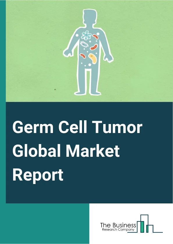 Germ Cell Tumor Global Market Report 2025 – By Disease (Testicular, Ovarian, Other Diseases), By Treatment Type (Chemotherapy, Immunotherapy), By Route Of Administration (Oral, Intravenous, Intraperitoneal), By End User ...