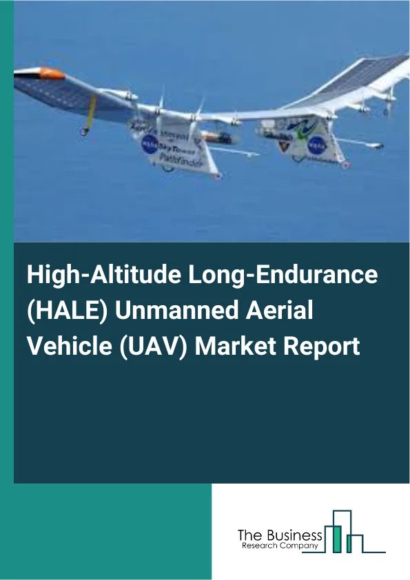 High-Altitude Long-Endurance (HALE) Unmanned Aerial Vehicle (UAV) Market Report Infographic Image