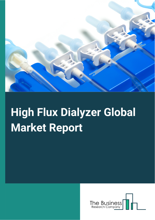 High Flux Dialyzer Market Report Infographic Image