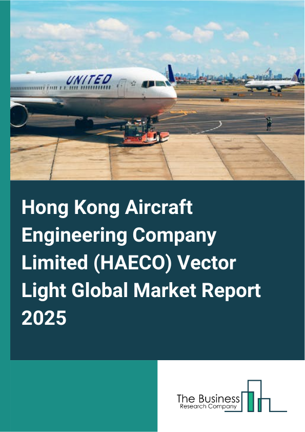 Global Hong Kong Aircraft Engineering Company Limited (HAECO) Vector Light Market Report 2025