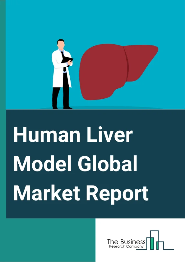 Human Liver Model Global Market Report 2025 – By Product (Liver Organoids, Liver-On-A-Chip, 2D Models, Animal Models, 3D Bioprinting), By Application (Educational, Drug Discovery, Other Applications), By End Users (Research Institutes, Pharmaceutical Companies, Other End Users) – Market Size, Trends, And Global Forecast 2025-2034