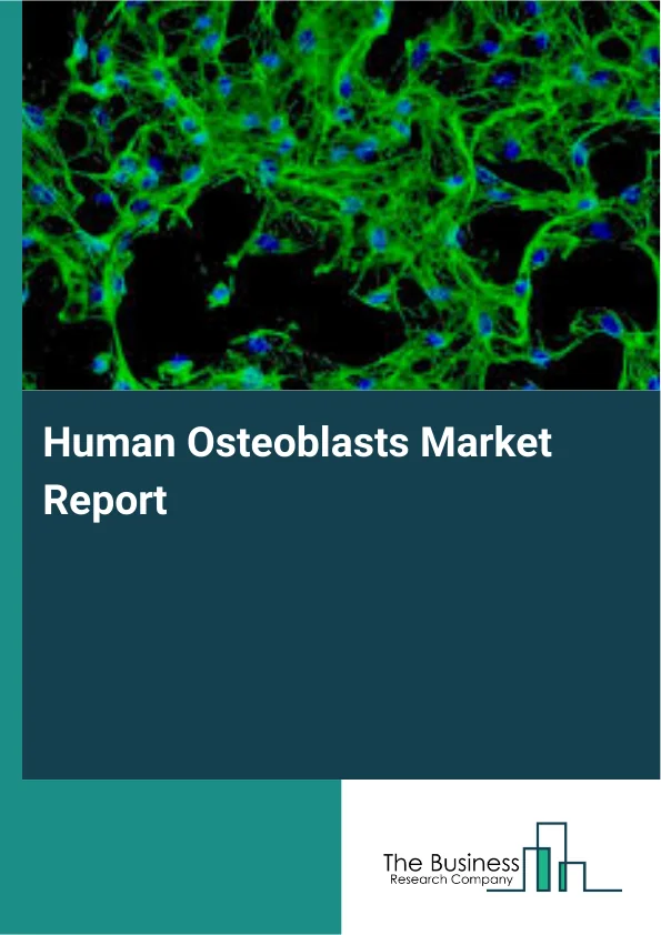 Human Osteoblasts Market Report Infographic Image