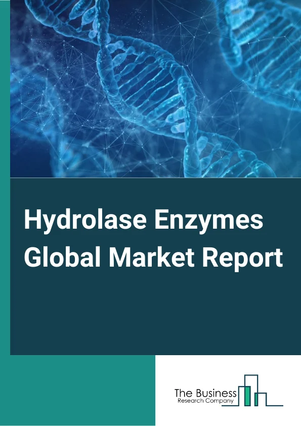 Hydrolase Enzymes Global Market Report 2025 – By Product (Esterase, Glycosylases, Peptidases, Other Products), By Bond Type (Ester Bonds (Esterases), Sugars (DNA Glycosylases And Glycoside Hydrolase), Ether Bonds (Thioet...