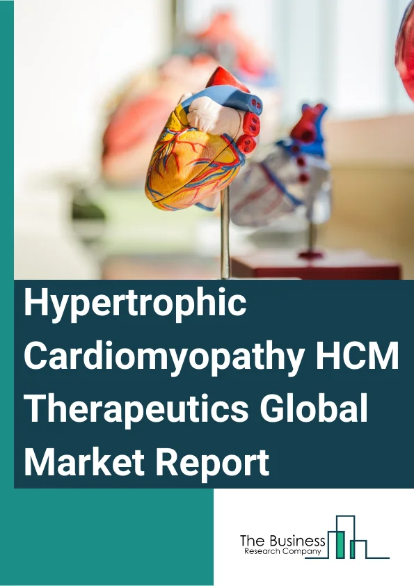 Hypertrophic Cardiomyopathy HCM Therapeutics