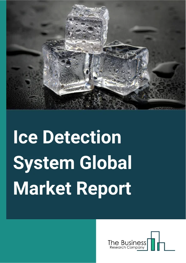 Global Ice Detection System Market Report 2025